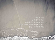 开云棋牌平台-福克斯大场面先生，F1年度争冠之夜的终极主宰