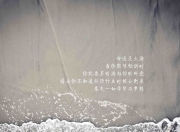 开云棋牌平台-福克斯大场面先生，F1年度争冠之夜的终极主宰