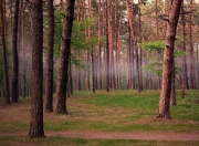 Kaiyuan Game Card-深圳队速胜浙江队，米切尔成关键先生