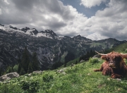 开云官网-卡马文加中场爆发引领战术革新，尼日利亚式高效反击淘汰比利亚雷亚尔