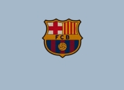 开云棋牌游戏-伦纳德攻防教科书式演绎，热火团队篮球无情粉碎灰熊铁壁