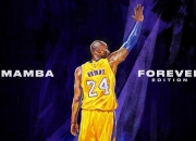 游戏试玩模拟器-利拉德之夜，尼克斯关键战突围开拓者启示录